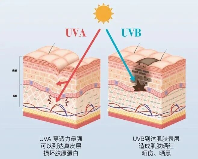 抗老先防晒❗️皮肤老化80%来自光老化‼️ - 小红书