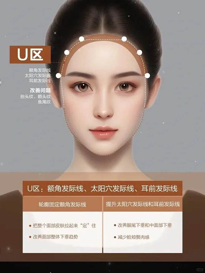 面部骨相分区,骨相美关键点美学审美标准